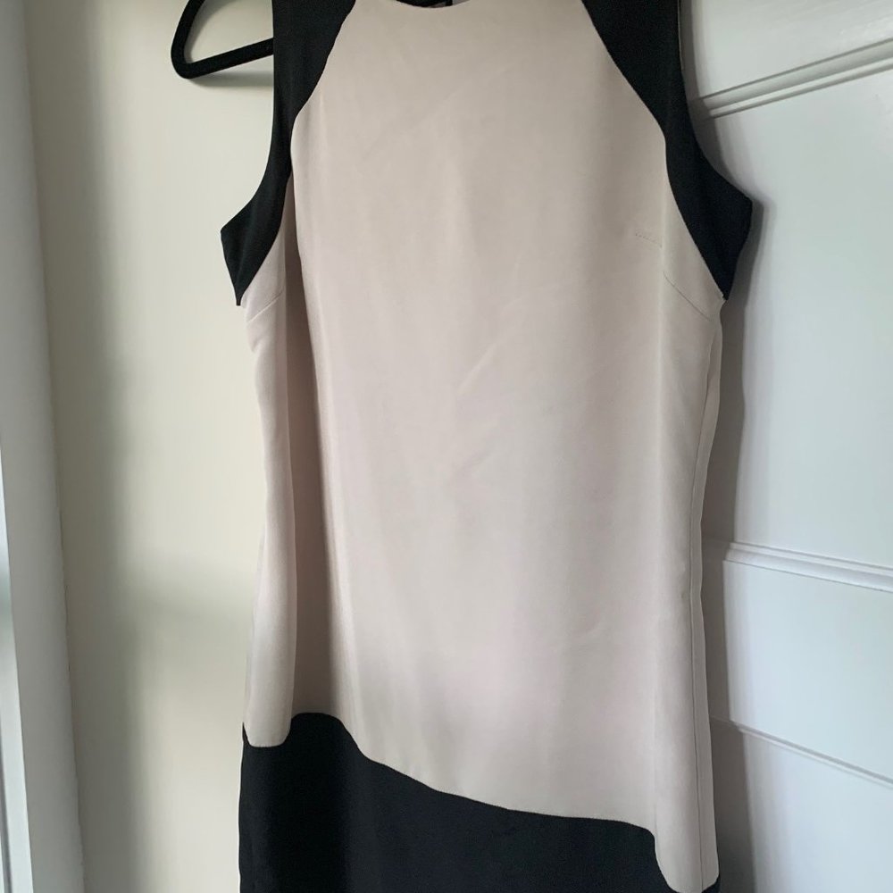 Beige & Black Dress